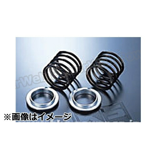 楽天市場】ヘルパースプリング hksの通販