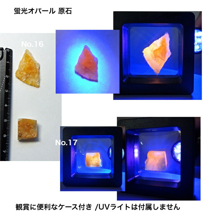 楽天市場】蛍光 オパール レア 北海道 オパール 原石 緊急追加 再再販