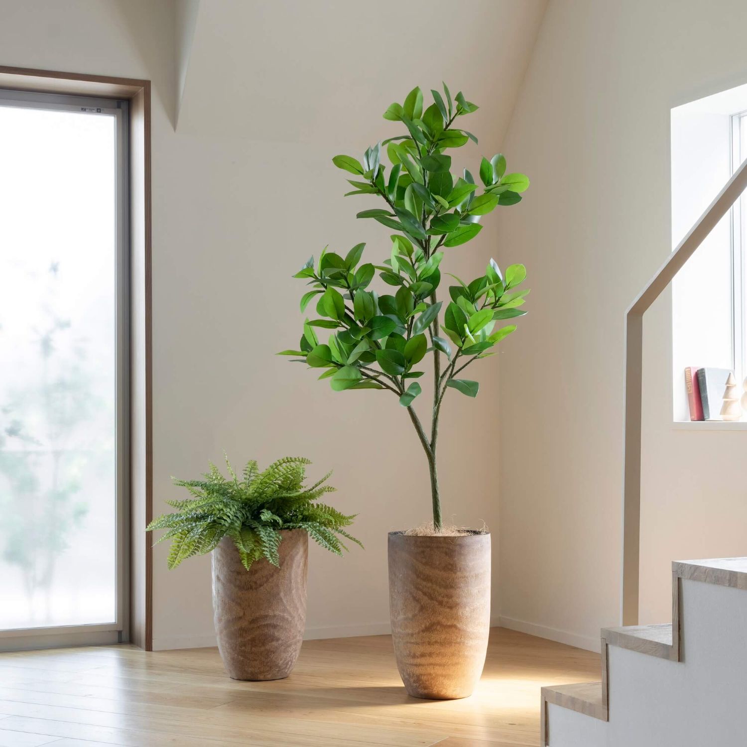 楽天市場】【公式】フィカスソフィア ウッドプランター H170cm 観葉