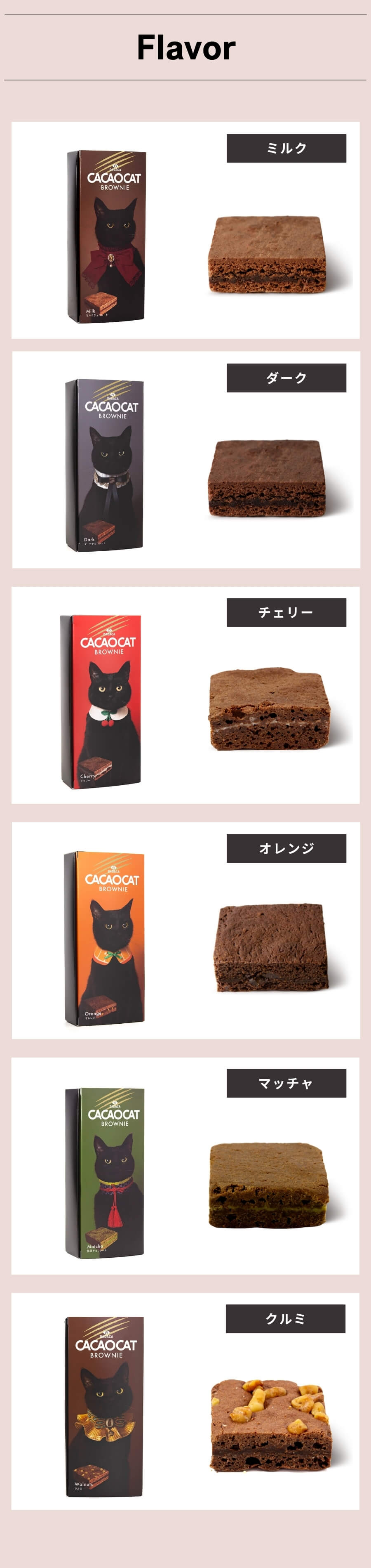 楽天市場】CACAOCAT カカオキャット ブラウニー ボックス入り3個入り