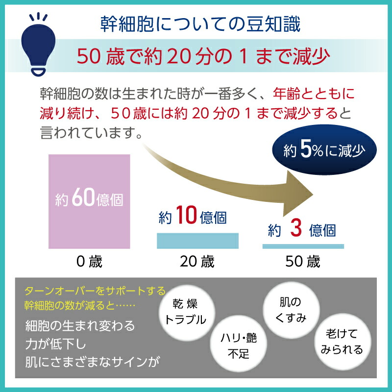 楽天市場】【期間限定スーパーSALE20％OFF】キューベル ST美容液 50ml