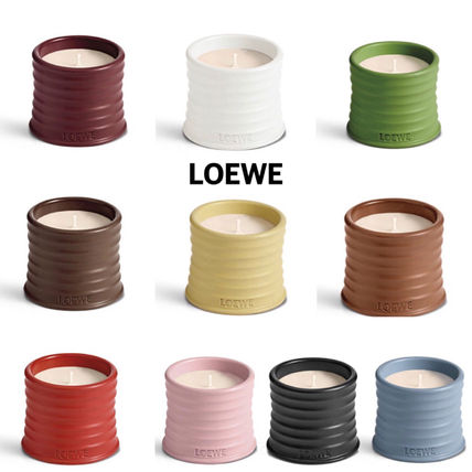 楽天市場】ロエベ キャンドル スモール 離島 別途1000円プラス ミモザ