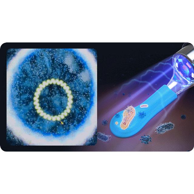 楽天市場】【ピンセット、給液、UV除菌を一台多役】BEBIRDカメラ付き