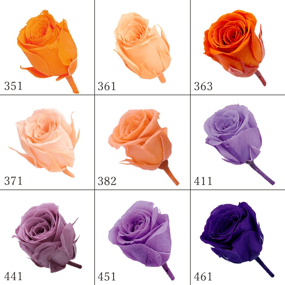 楽天市場】プリザーブドフラワー 花材 とりよせ品 ビビアン(1箱24輪