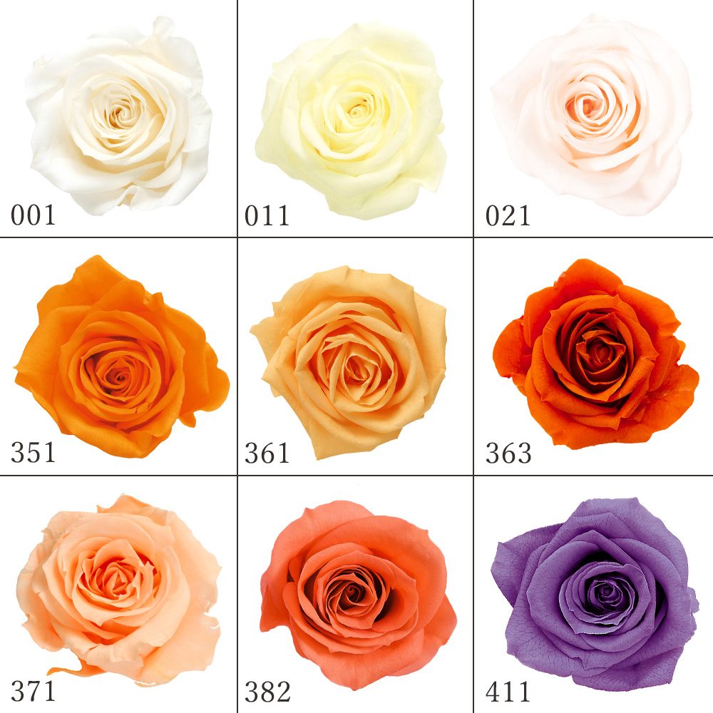 楽天市場】プリザーブドフラワー 花材 とりよせ品 ローズ・いずみ(1箱9