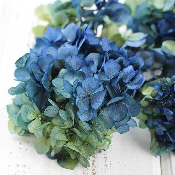 楽天市場】プリザーブドフラワー 花材 即日出荷 ソフトあじさい彩