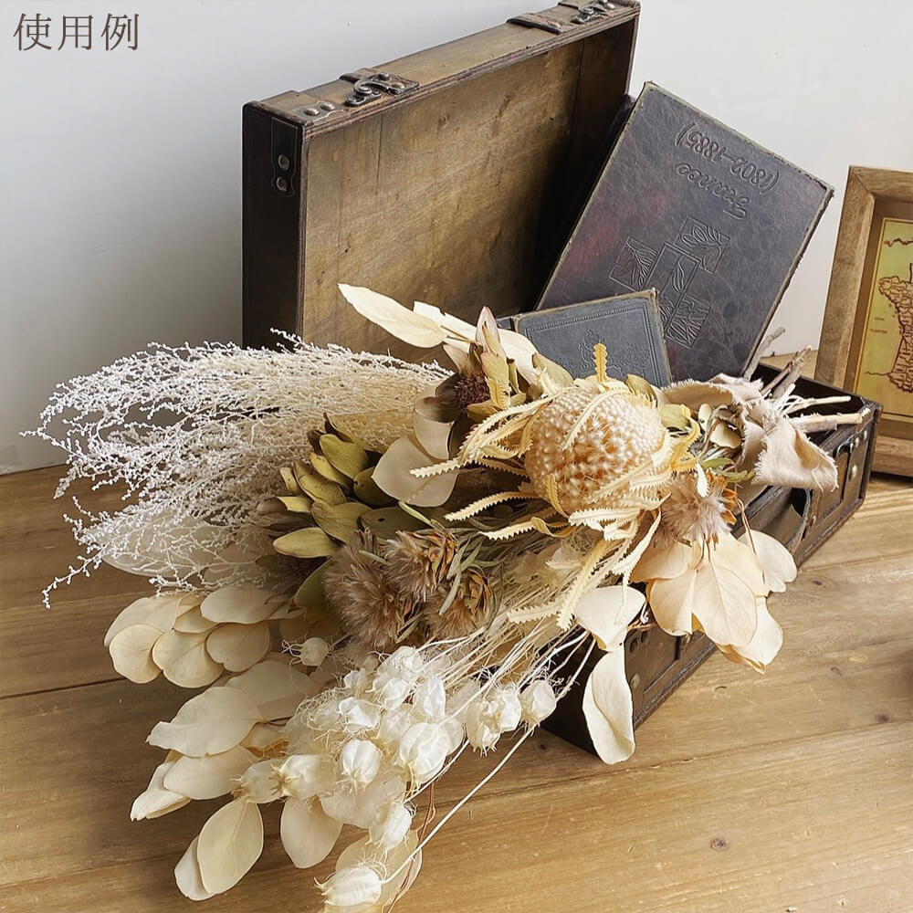 楽天市場】ドライフラワー 花材 即日出荷 フーセンポピー オフホワイト