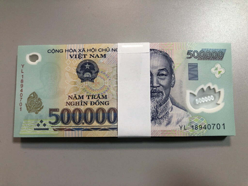 258 仏領インドシナ 100ピアストル ベトナム紙幣 ベトナムドン 1枚 258