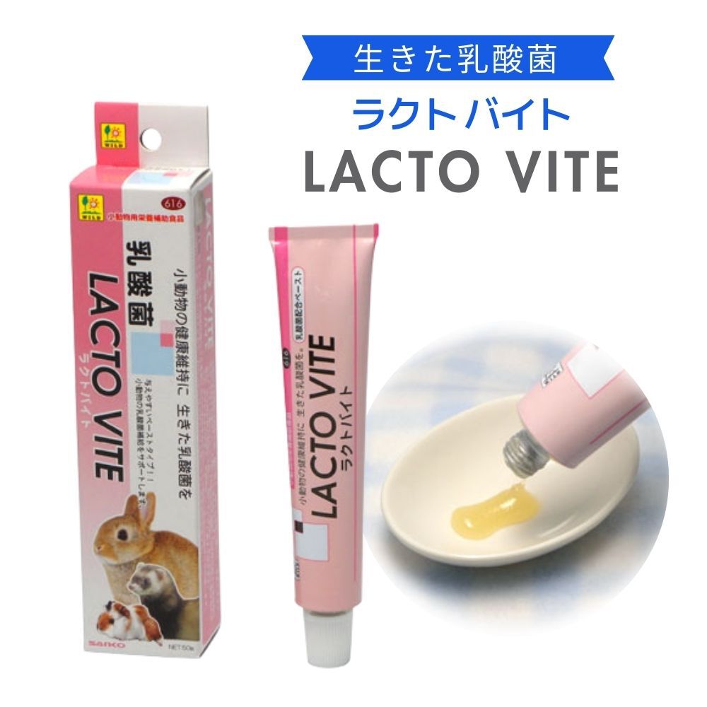 フェレット バイト」の人気商品一覧 | 安い商品を通販サイトから探す