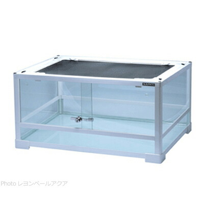 楽天市場】パンテオン 6030の通販