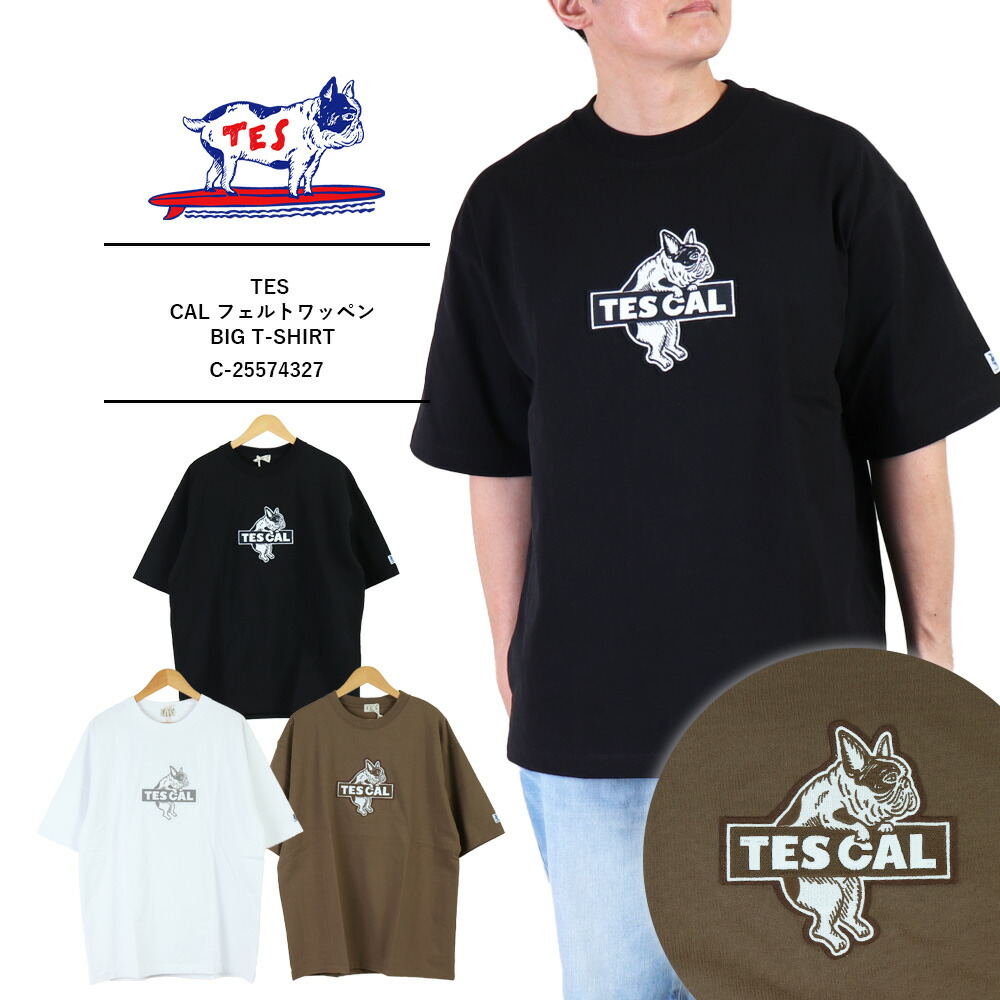 楽天市場】TES エンドレスサマー Tシャツ The Endless Summer Tシャツ