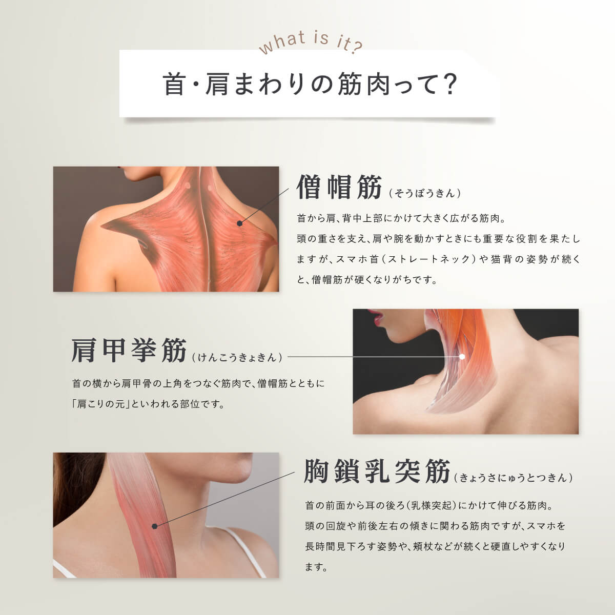 楽天市場】【日々の疲れに】 EMS ネックケア 首 肩 ケア リラックス