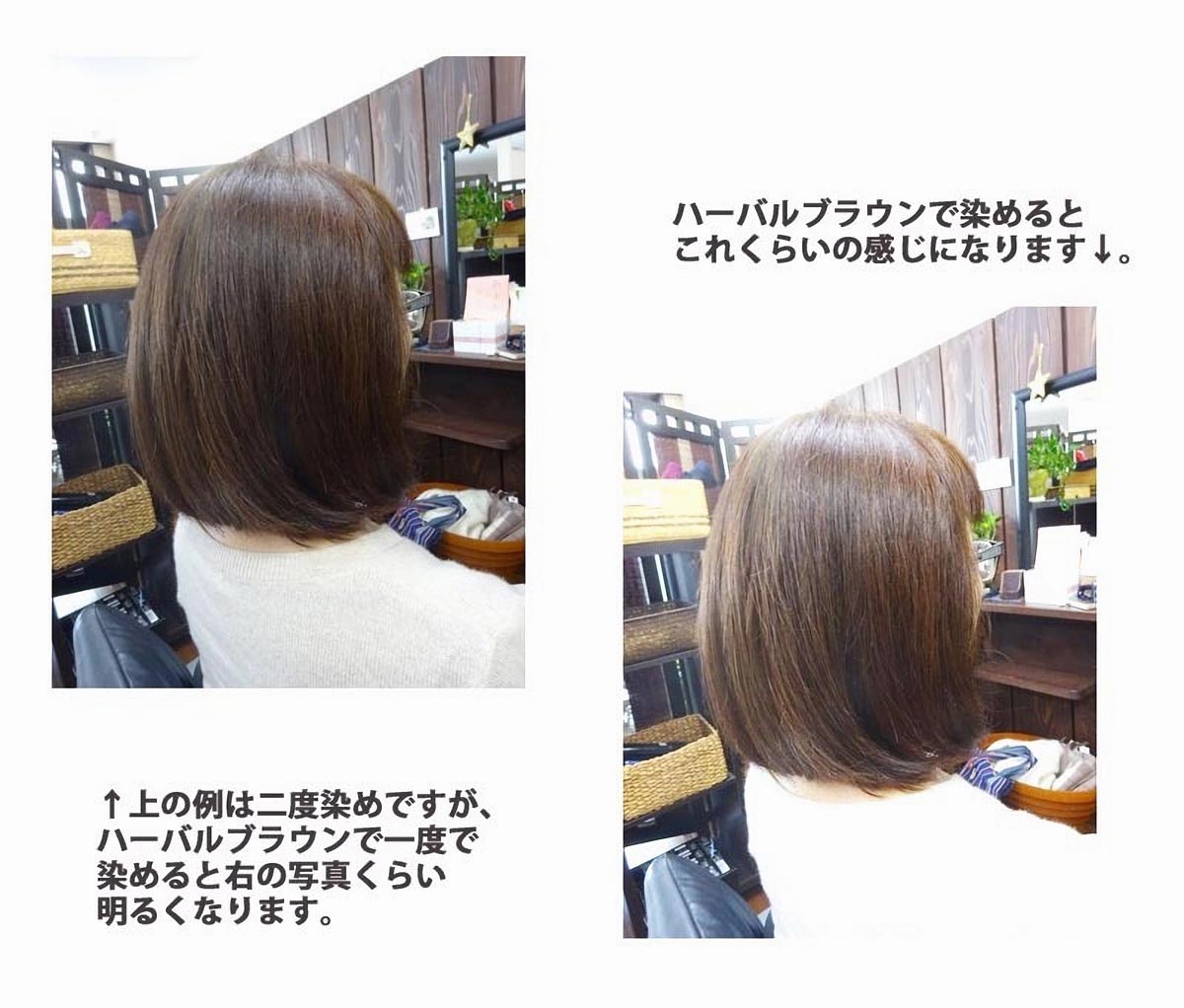 楽天市場】ヘナ 白髪染め ハーバルブラウン 天然ハーブ 茶色 （100g