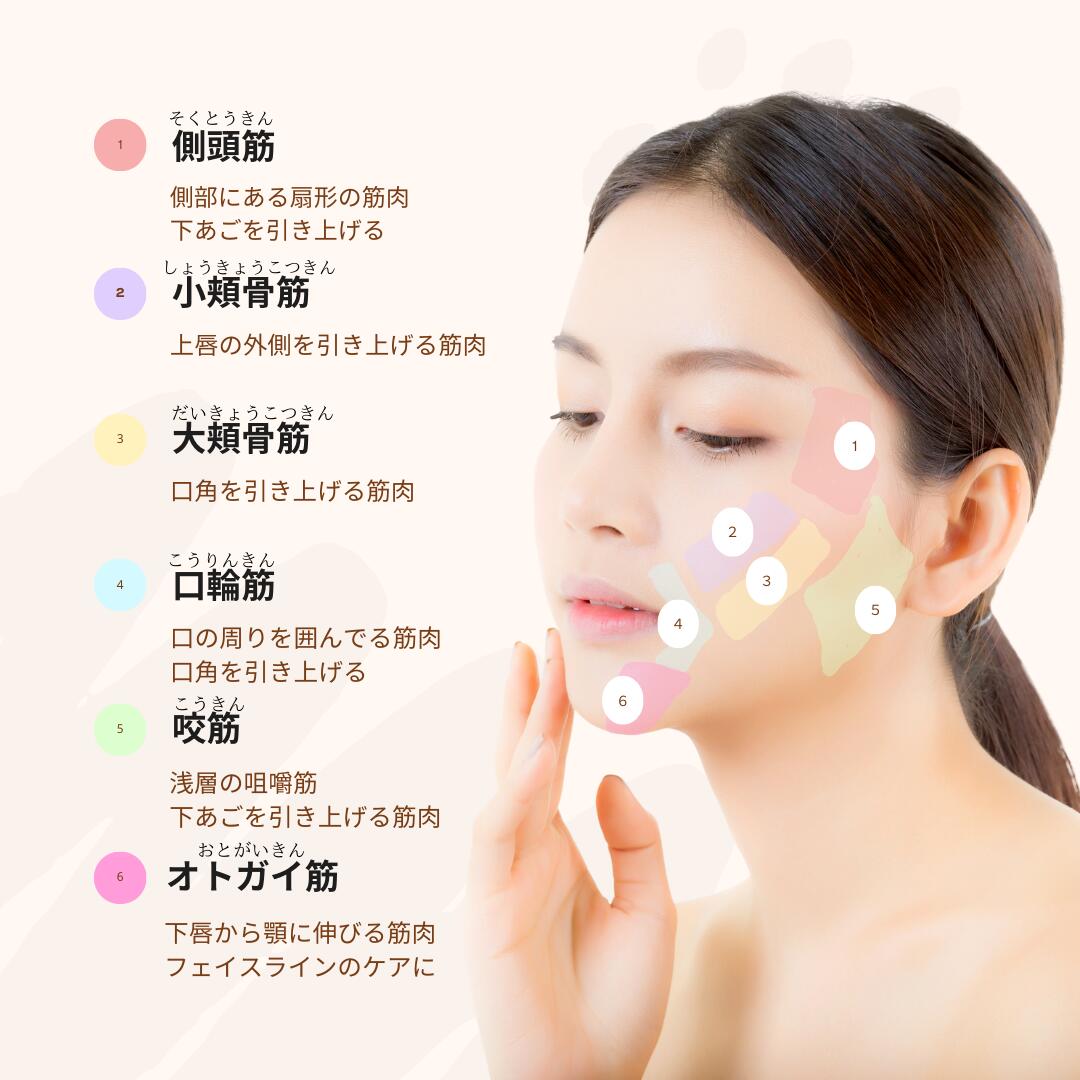 楽天市場】＼EMSでたるみ予防／小顔EMS美顔器 EMSフェイス用EMS 小顔