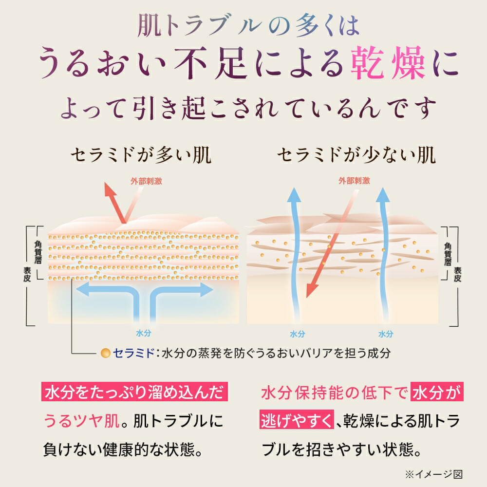 楽天市場】＼20%OFFクーポン！3/4 20:00-3/11 01:59／【楽天限定