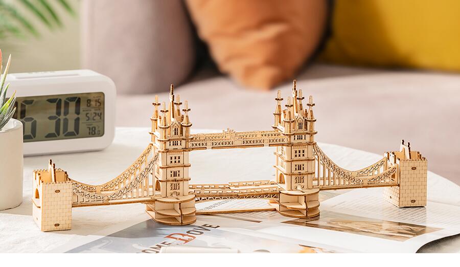 楽天市場】【510円OFF 原価2550円】立体パズル 大人 子供 タワー