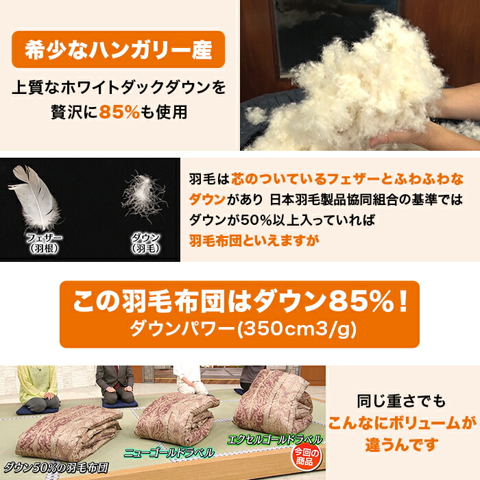 楽天市場】【1月27日までクーポン利用で64200円引き！】モリリン