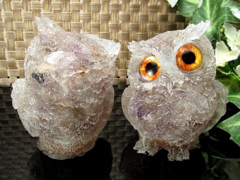 楽天市場】【全品P2倍】○【スーパーセブンサザレ入り フクロウ型