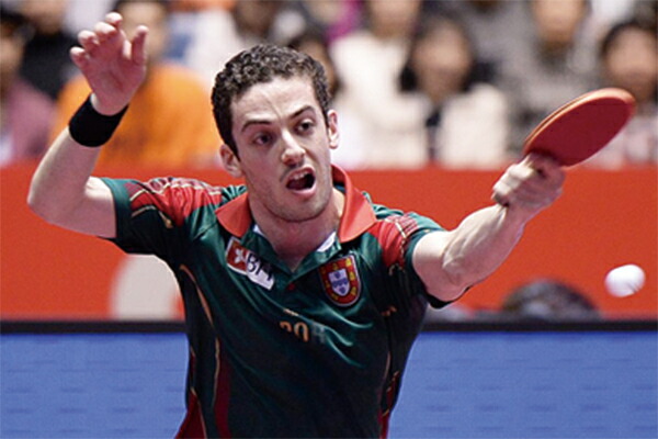 楽天市場】バタフライ フレイタスALC ST(ストレート) 卓球ラケット