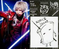 楽天市場】コドモドラゴン ハヤトの通販