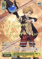 楽天市場】ヴァイスシュヴァルツ sspの通販