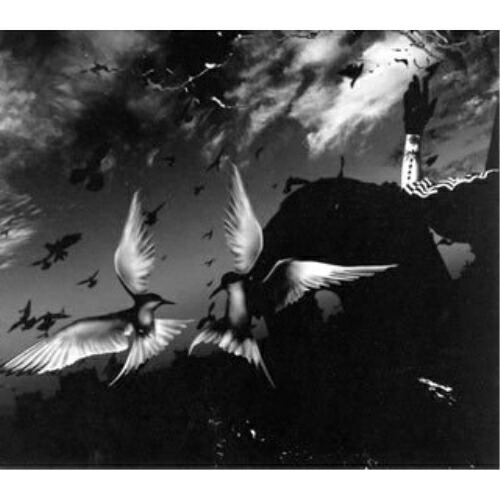 楽天市場】hello complete singles and pv collection（CD・DVD）の通販