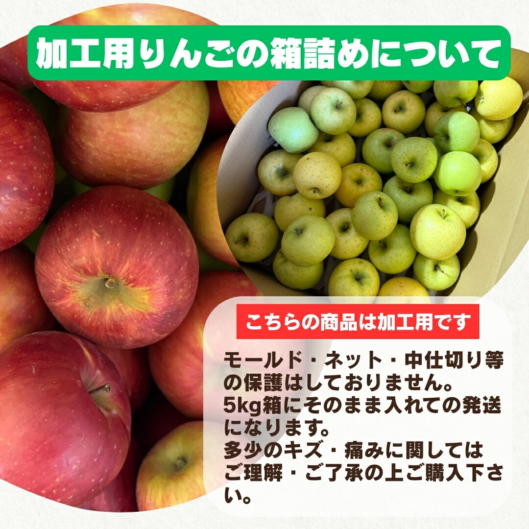 楽天市場】大特価！！ 青森県産 加工用 りんご 品種おまかせ 5kg 産地