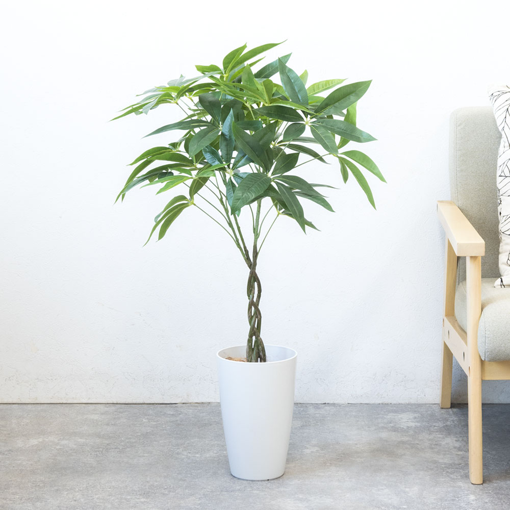 楽天市場】人工観葉植物 フェイクグリーン パキラ プラ鉢ロングポット