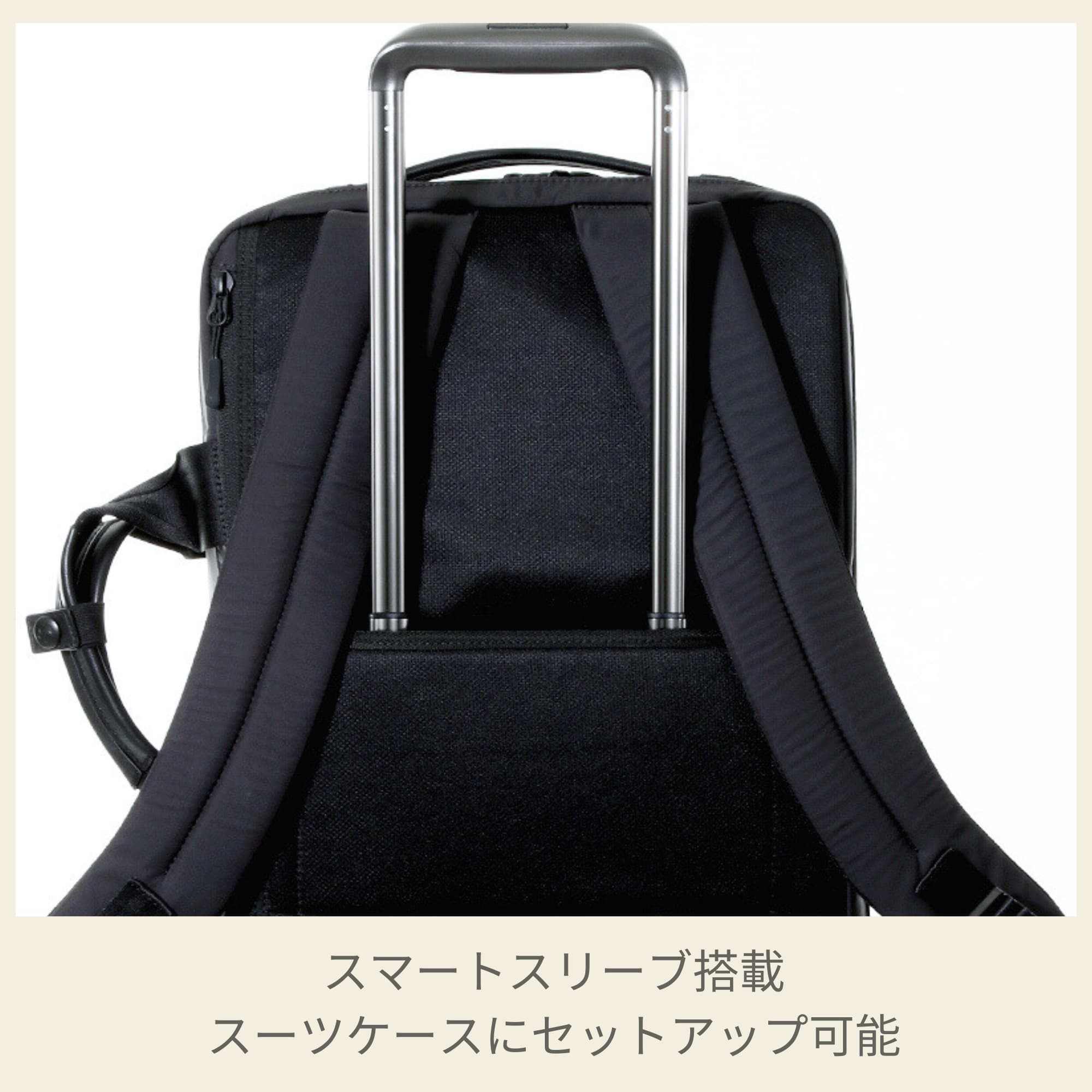 楽天市場】【24時間限定】対象P10倍☆1日0:00-23:59≪公式店