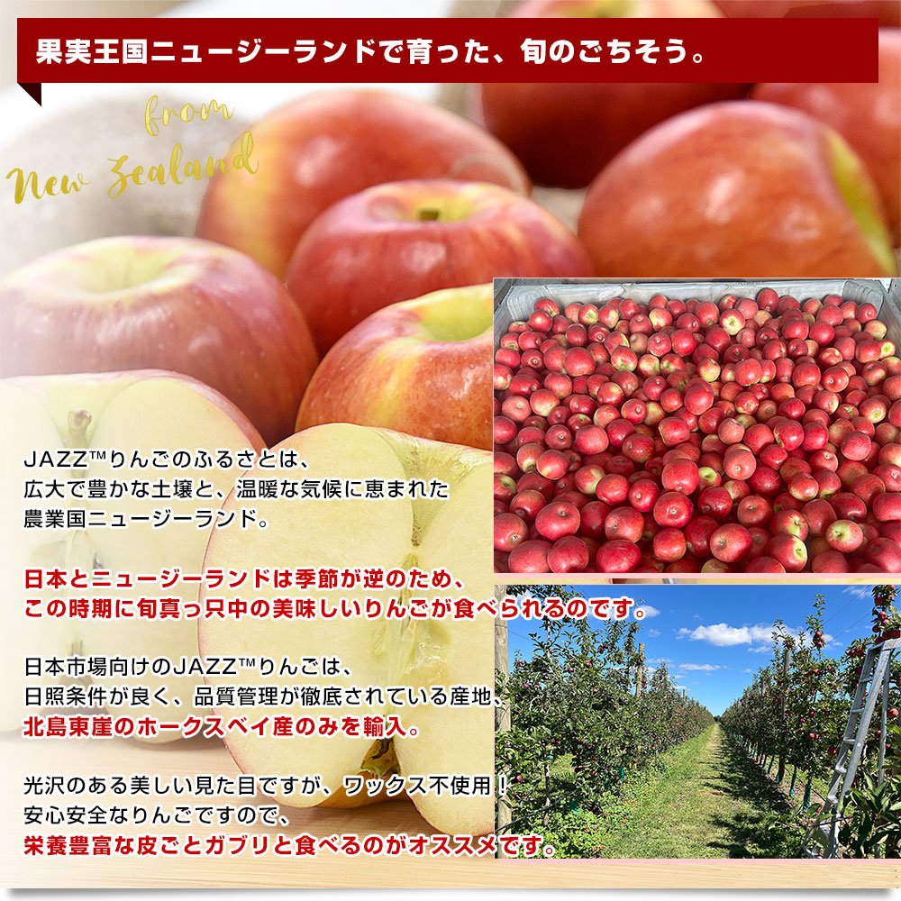 楽天市場】ニュージーランド産 JAZZりんご(品種:サイフレッシュ) 約2.6