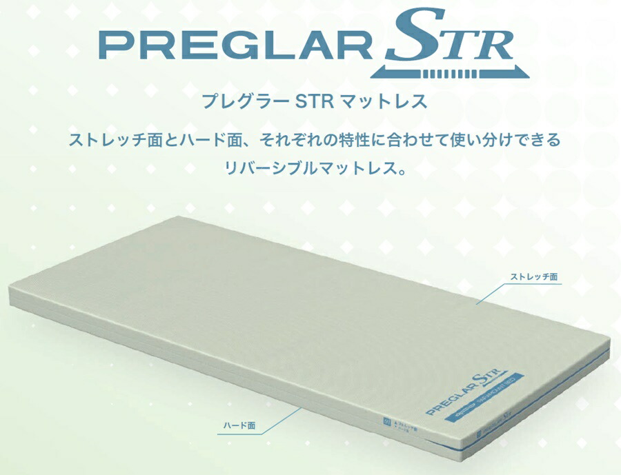 楽天市場】【個人様向け限定商品】 パラマウントベッド プレグラーSTR