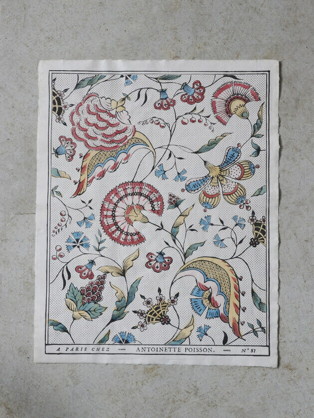 楽天市場】ドミノペーパー 57A Antoinette Poisson // アントワネット