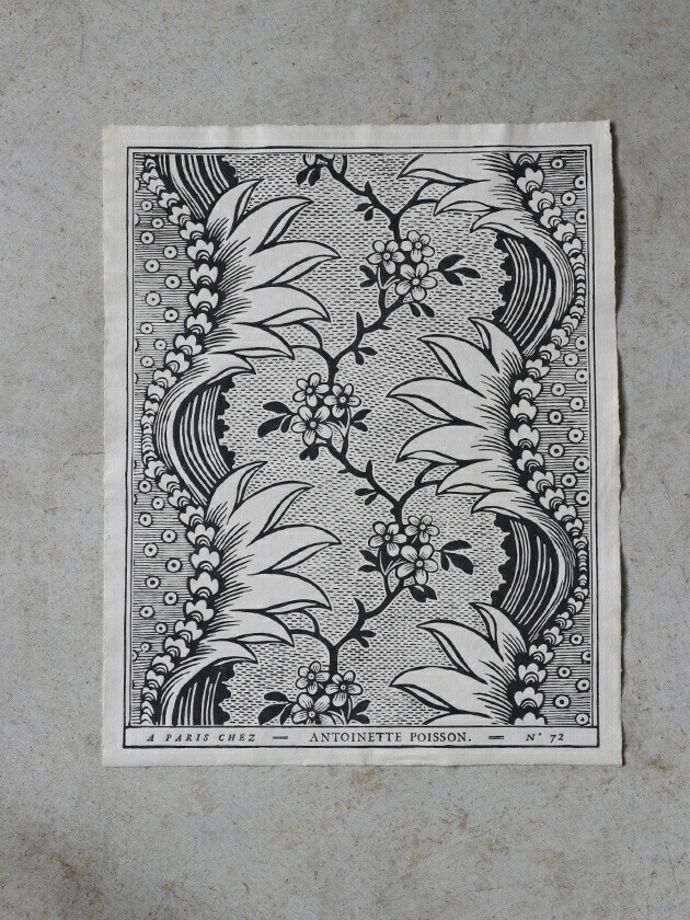 楽天市場】ドミノペーパー 72B Antoinette Poisson // アントワネット