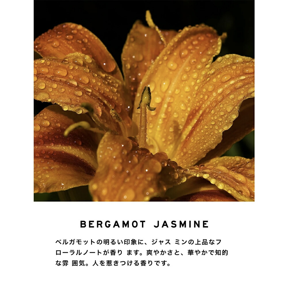 楽天市場】コンパウンド オードトワレ NO.4 compound【SHOLAYERED