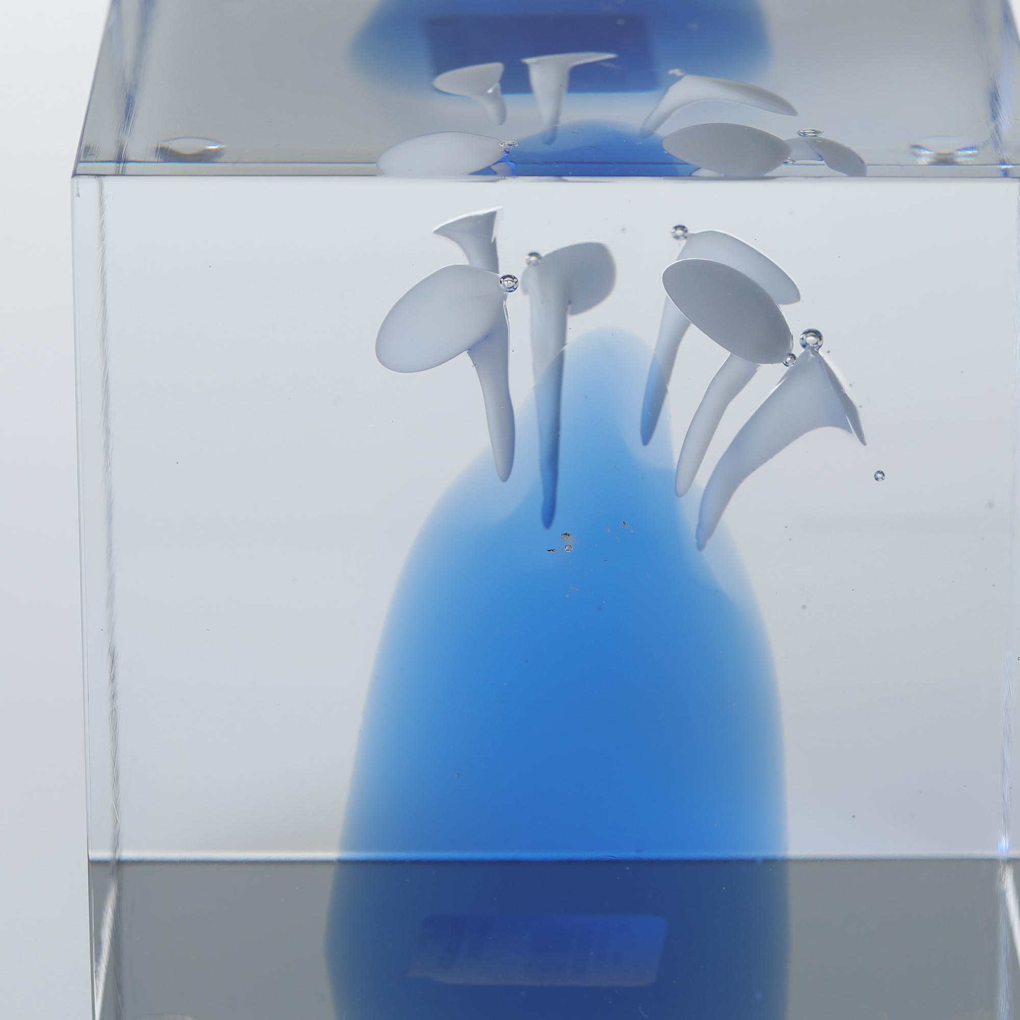 楽天市場】【No.273】イッタラ / アニュアルキューブ 2024 [ Iittala