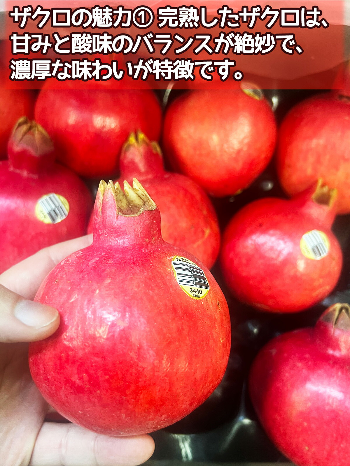 楽天市場】生ザクロ 柘榴 空輸 特選クラス｜チリ産・アメリカ産