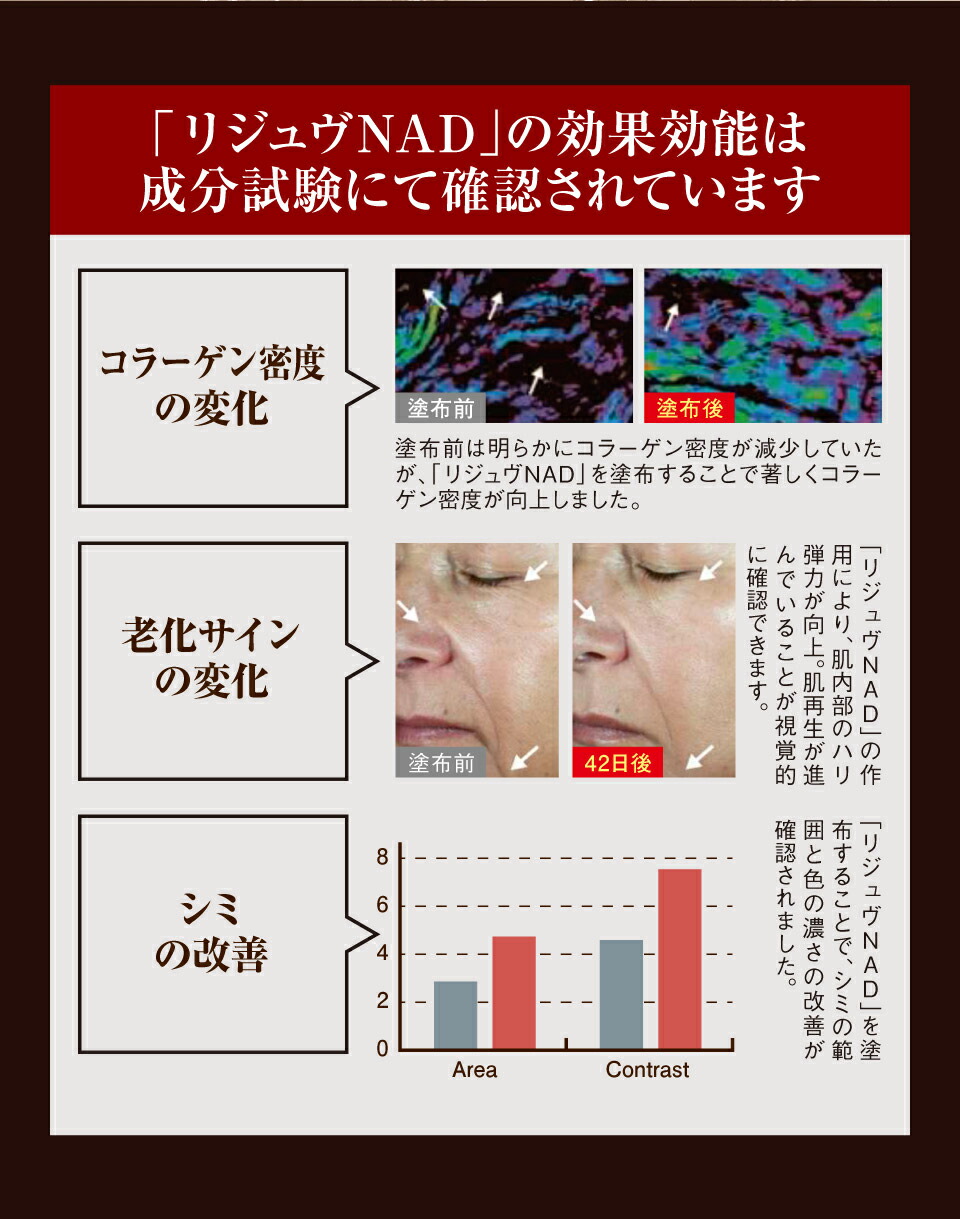 楽天市場】美容液 エイジングケア エイジングケア化粧品 アクティブ