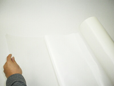 楽天市場】シルクプリント用 Tシャツ固定粘着シート 430mm×30m P113N