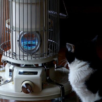 楽天市場】＼もれなくアラジンポンプ＆灯油タンクプレゼント／アラジン