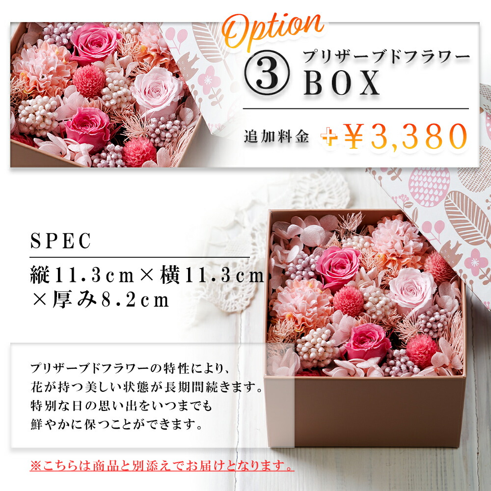 パリ本店限定ショッパー&カメリア付き】CHANEL コンパクトミラー 143