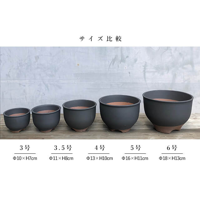 楽天市場】伝市鉢 コウロ型【黒化粧】5号 φ16cm×H11cm 植木鉢 陶器