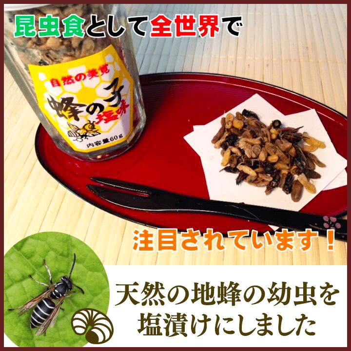楽天市場】【送料無料】 蜂の子塩味 食べる 60g 2ヶセット 高級珍味 地