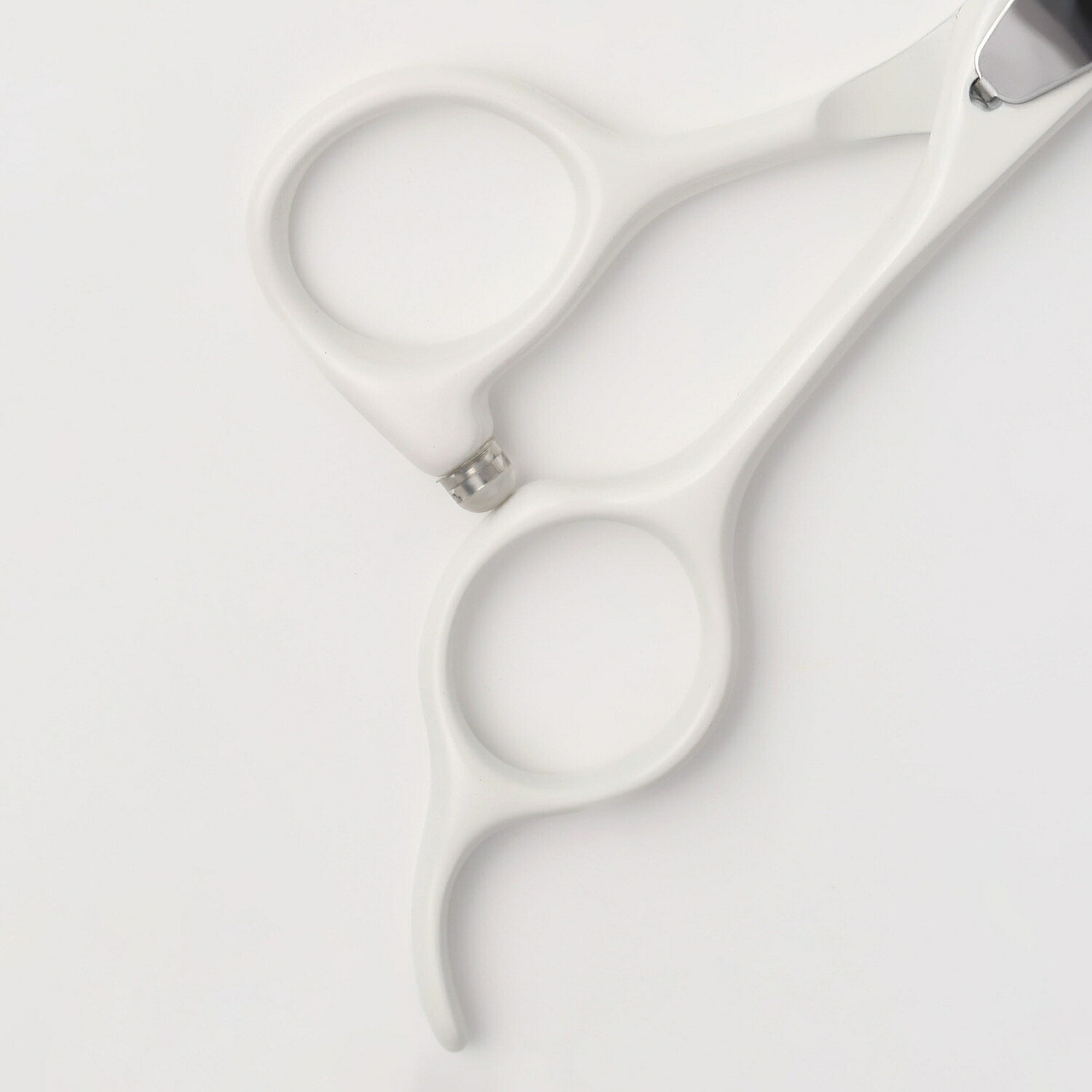 楽天市場】【送料無料】日本の鋏専門メーカー トリマー用 / /毎日のお