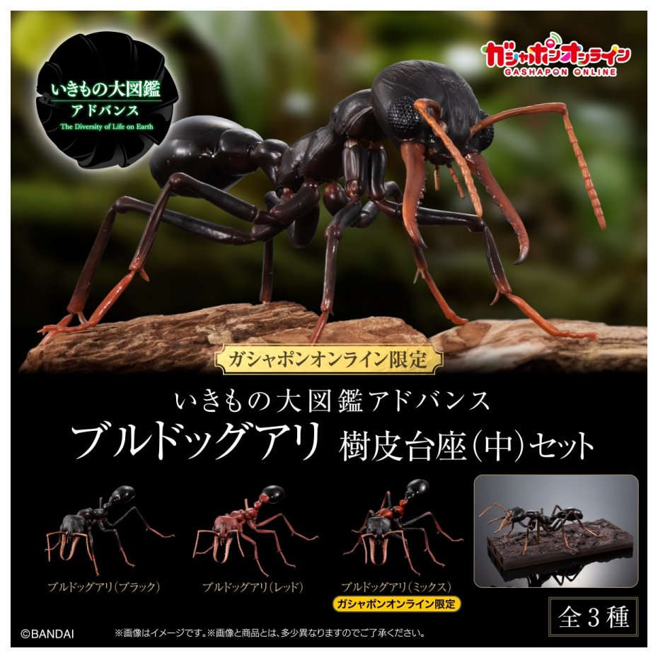 楽天市場】マックスファクトリー ツムギバコ プトゥン 受胎Ver. ソフビ