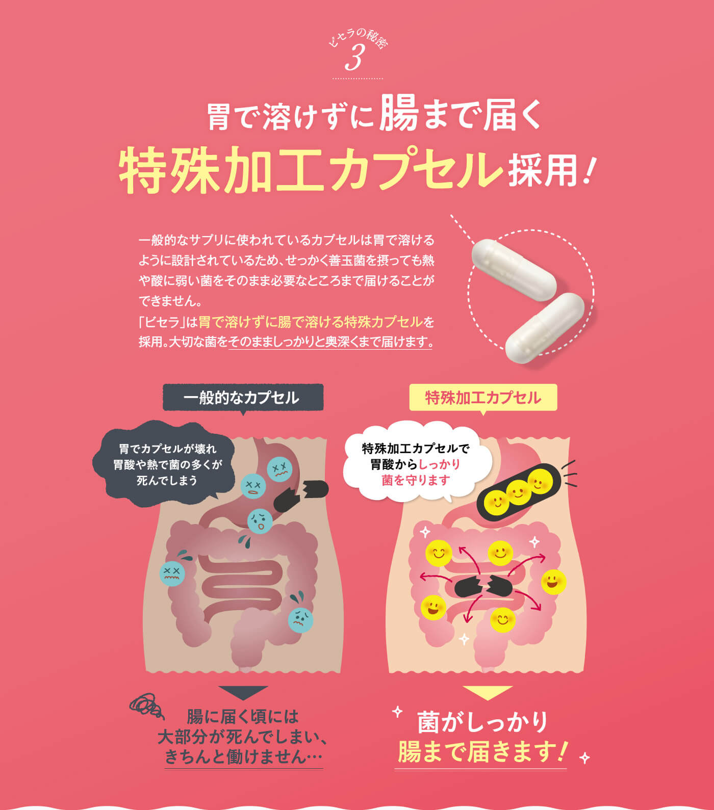 楽天市場】【公式】 ビセラ BISERA 30粒 ダイエット びせら 乳酸菌 腸