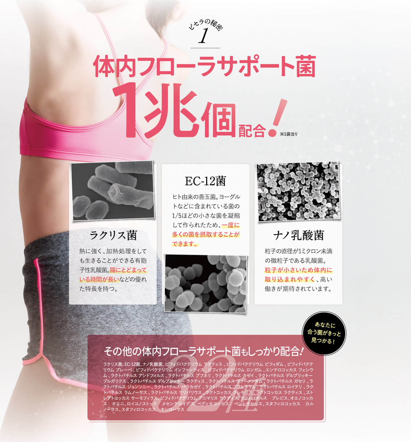 楽天市場】【公式】 ビセラ BISERA 30粒 ダイエット びせら 乳酸菌 腸