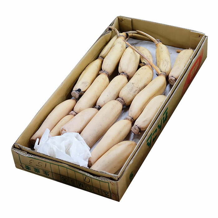 楽天市場】徳島県産 レンコン 秀品 M〜Lサイズ 5kg （箱） 蓮根