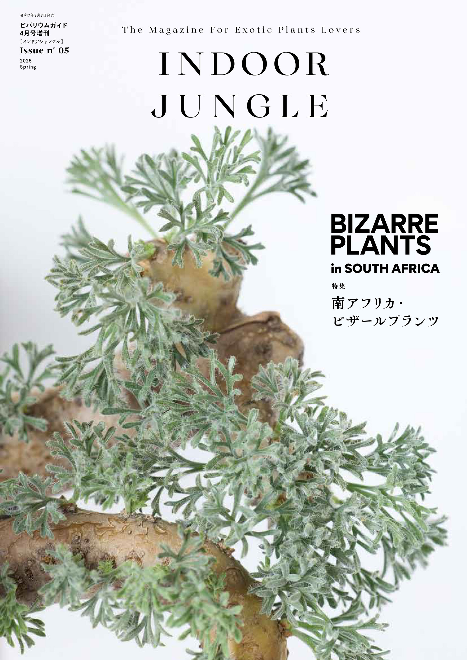 楽天市場】INDOOR JUNGLE No.05 : 書泉オンライン楽天市場店