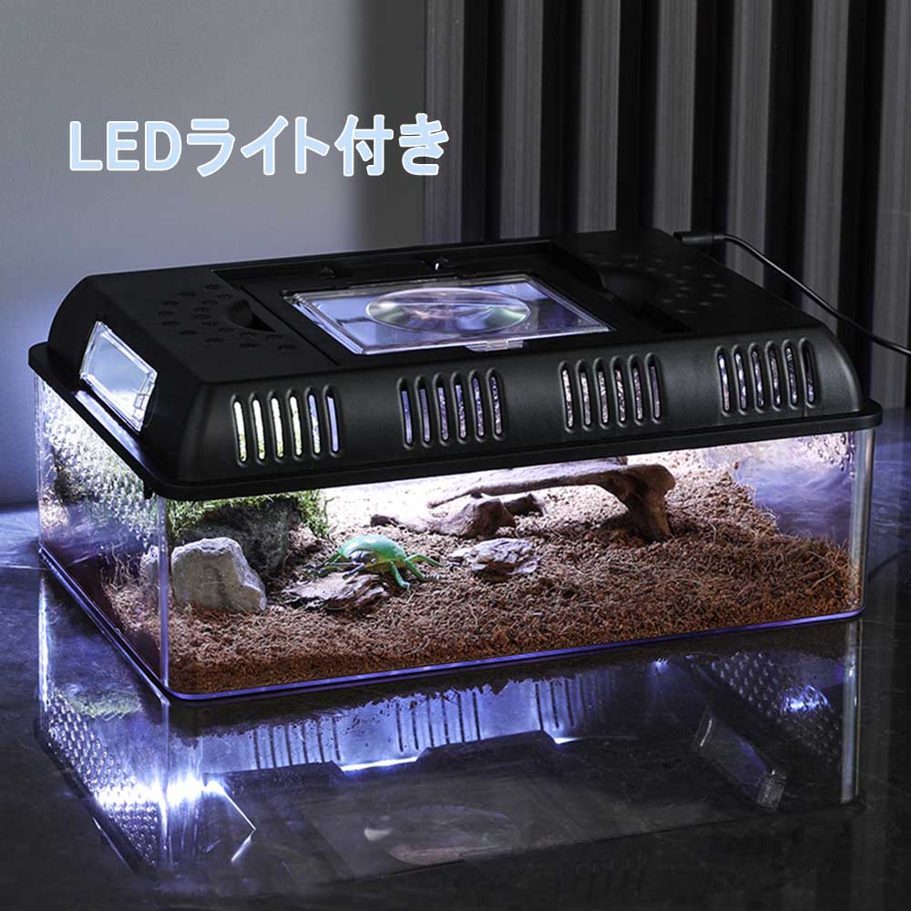 楽天市場】爬虫類 ケージ 飼育ケース 爬虫類飼育箱 レプタイルボックス