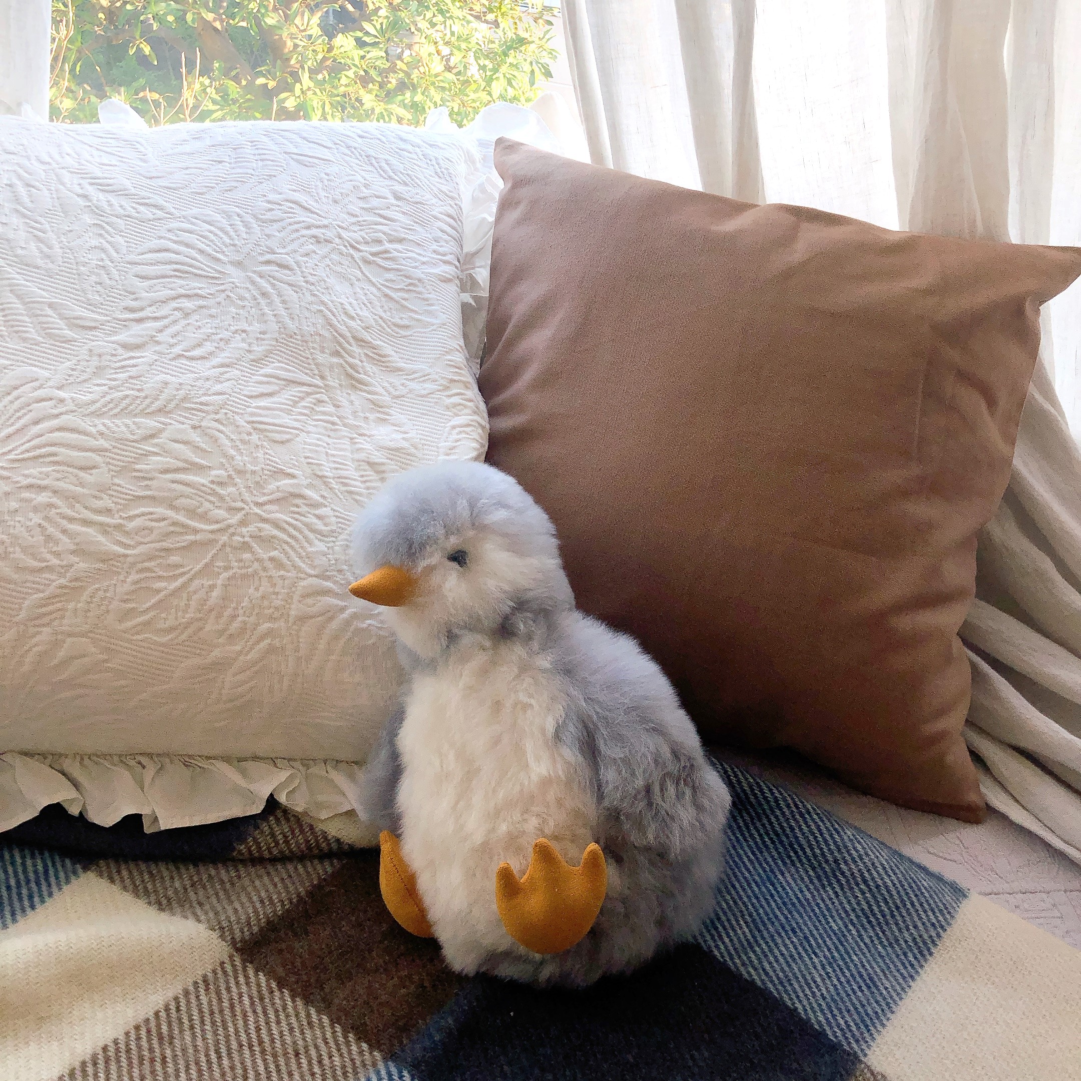 楽天市場】ぬいぐるみ ペンギン ベビーアルパカ 毛 天然素材 ペルー製